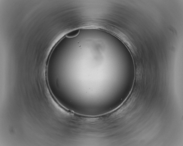 X0000111421484200907131152