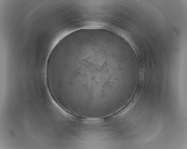 X0000111421487200907131152