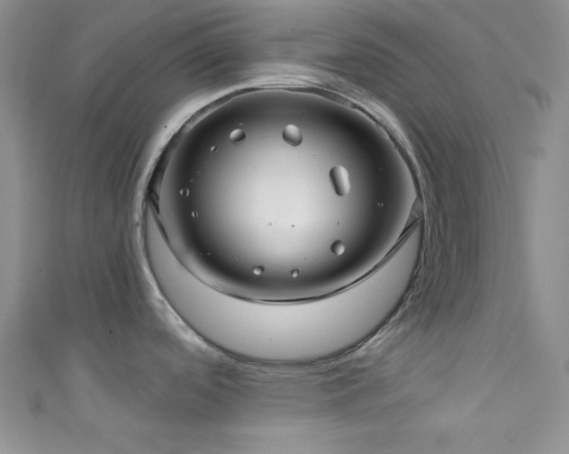 X0000111421488200907131152
