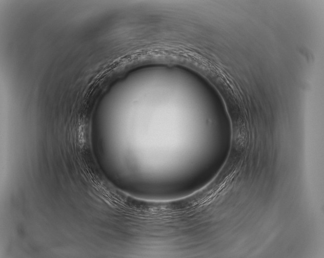 X0000111421490200907131151