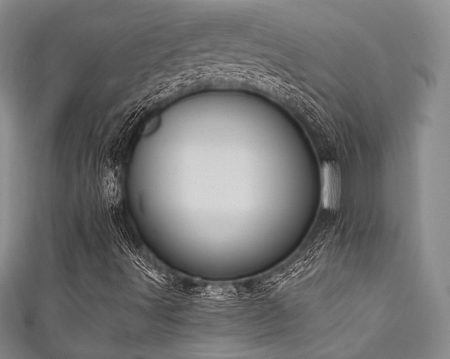 X0000111421491200907131151