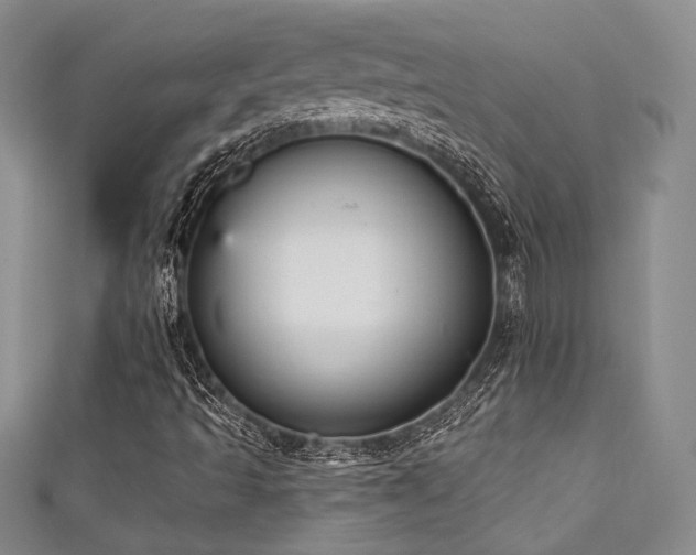 X0000111421493200907131151