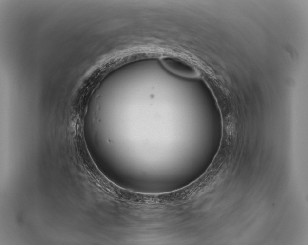 X0000111421495200907131151