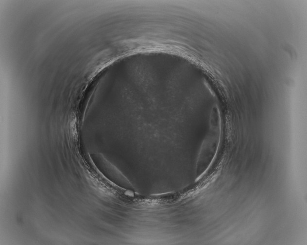 X0000111421497200907131151