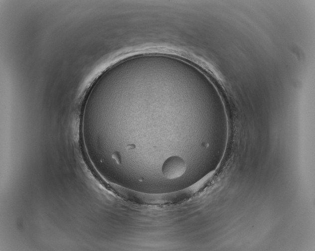 X0000111421504200907131151