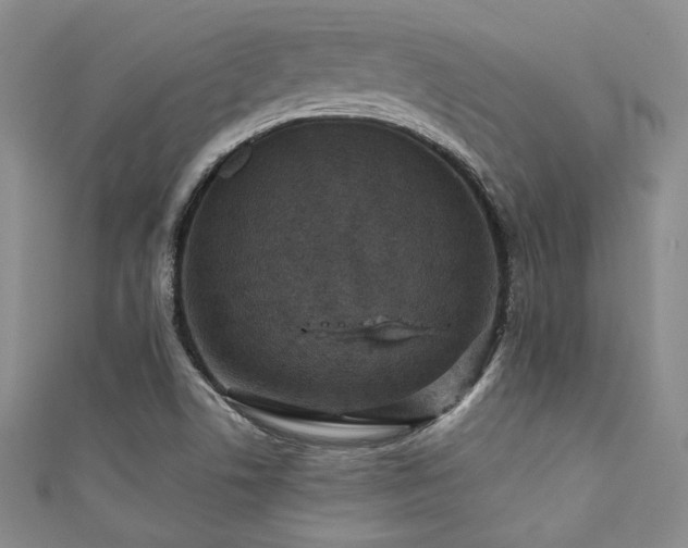 X0000111421506200907131151