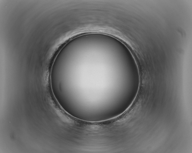 X0000111421507200907131151