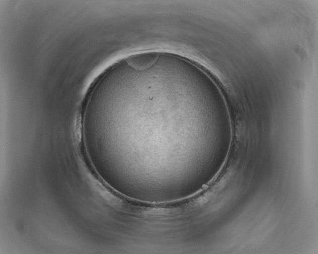 X0000111421510200907131151