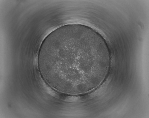 X0000111421513200907131151