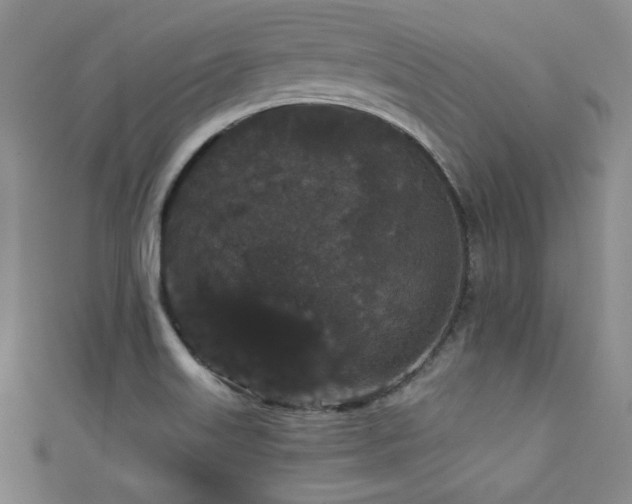 X0000111421515200907131151