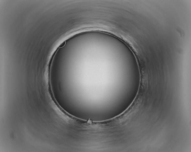 X0000111421516200907131151