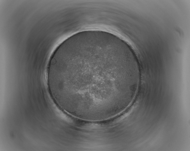 X0000111421517200907131151
