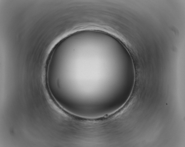 X0000111421518200907131151