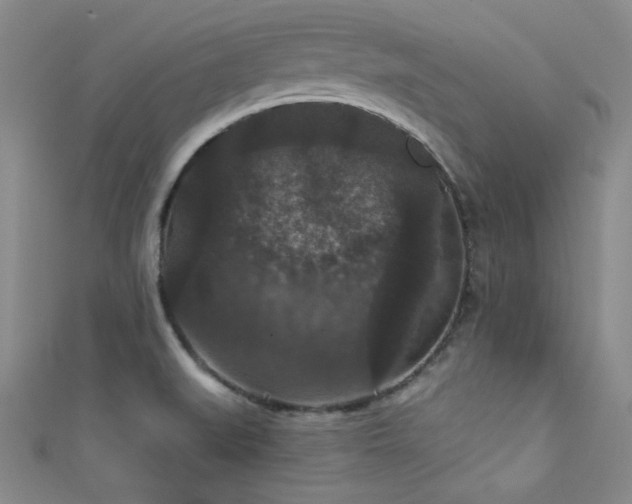 X0000111421519200907131151