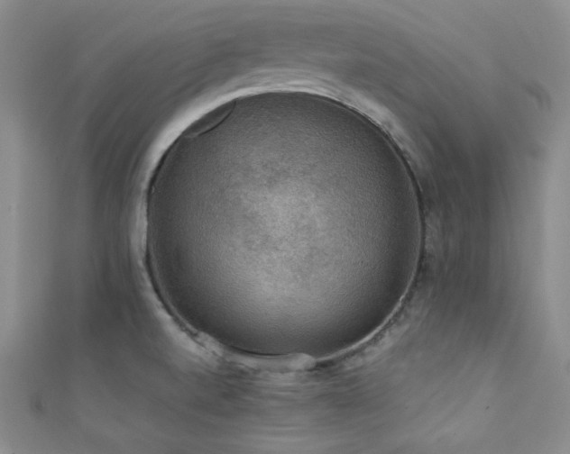 X0000111421520200907131152