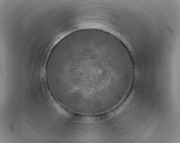 X0000111421521200907131152
