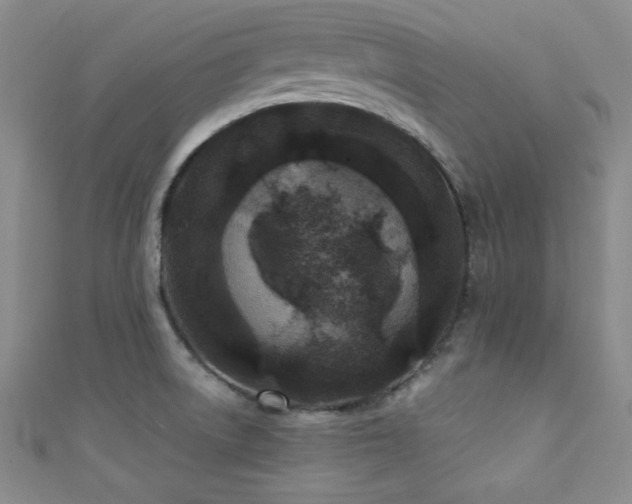 X0000111421522200907131152
