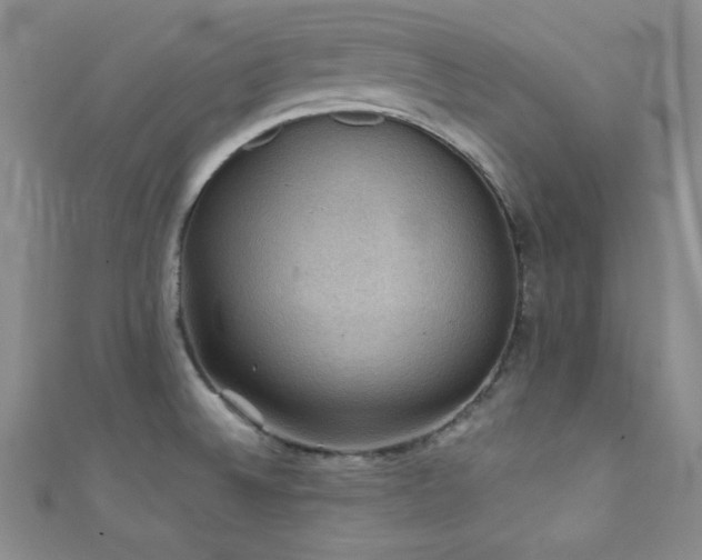 X0000111421524200907131152
