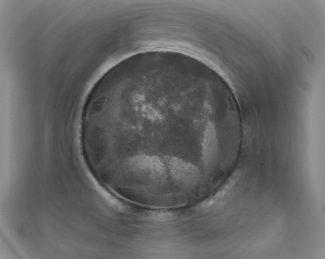 X0000111421525200907131152