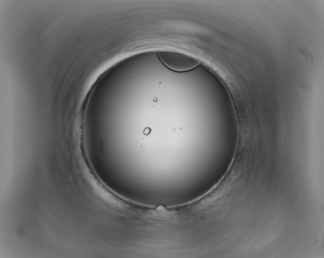 X0000111421526200907131152