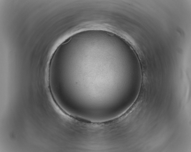 X0000111421528200907131152