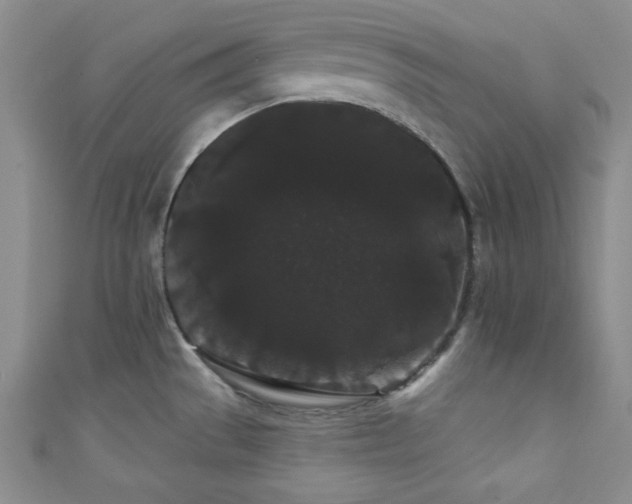X0000111421529200907131152