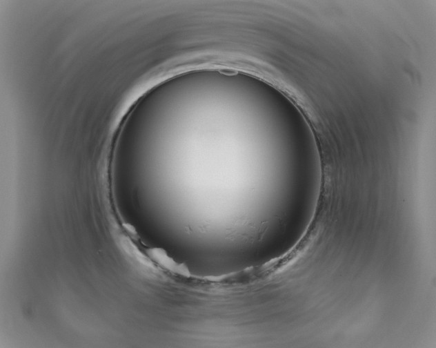 X0000111421530200907131152