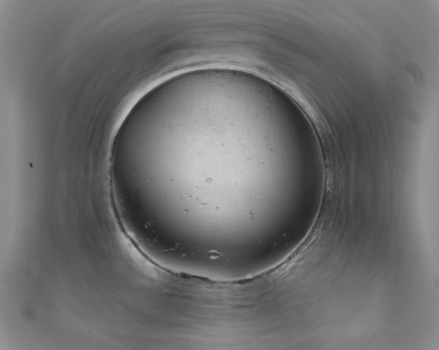 X0000111421532200907131152