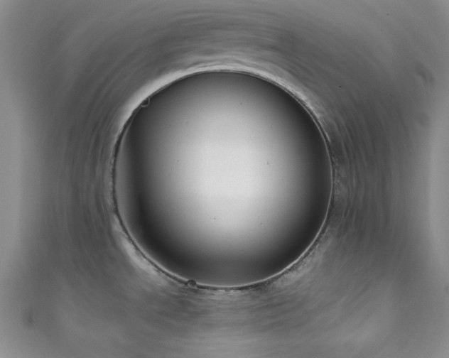 X0000111421534200907131152