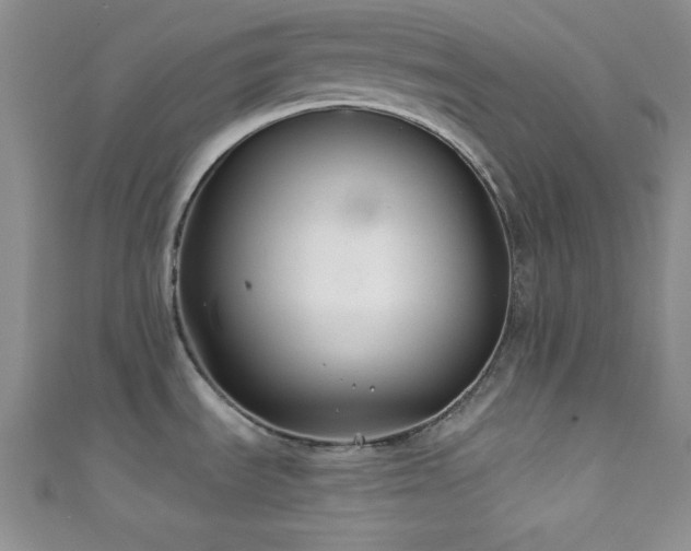 X0000111421535200907131152