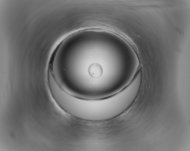 X0000111421536200907131152