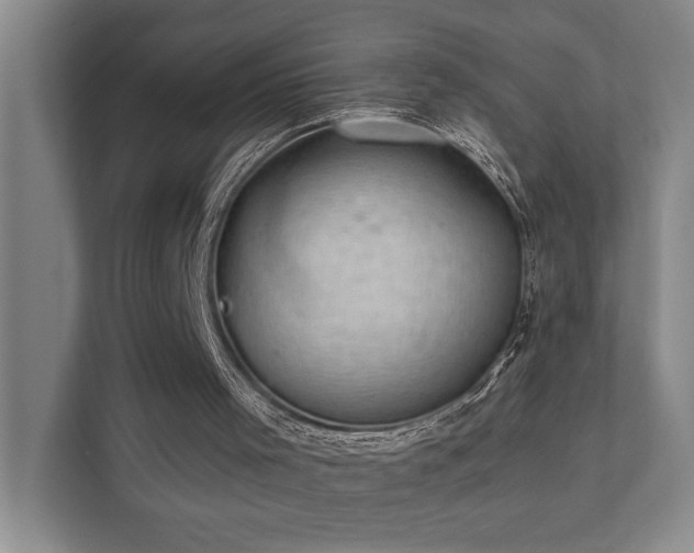 X0000111420001200907201057