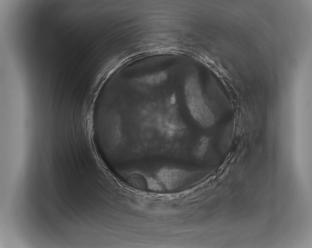 X0000111420002200907201057