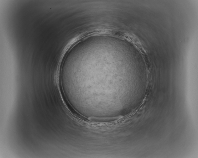 X0000111420003200907201057