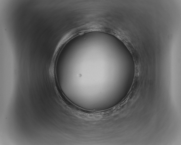 X0000111420004200907201057