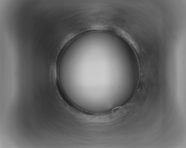 X0000111420011200907201057