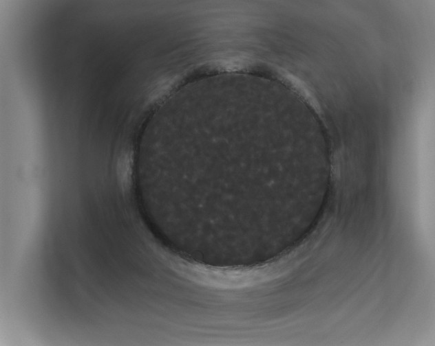 X0000111420018200907201057