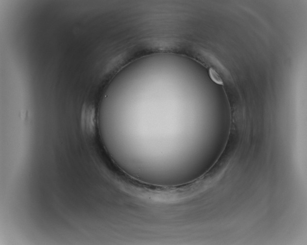 X0000111420024200907201057