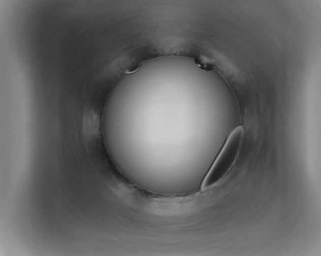 X0000111420025200907201057