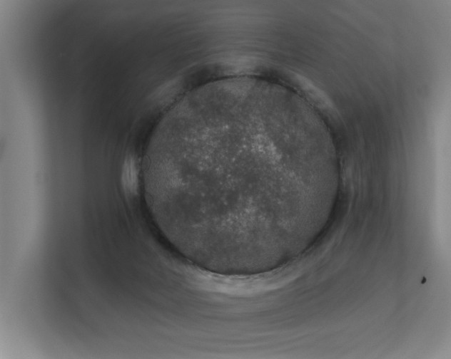 X0000111420026200907201057