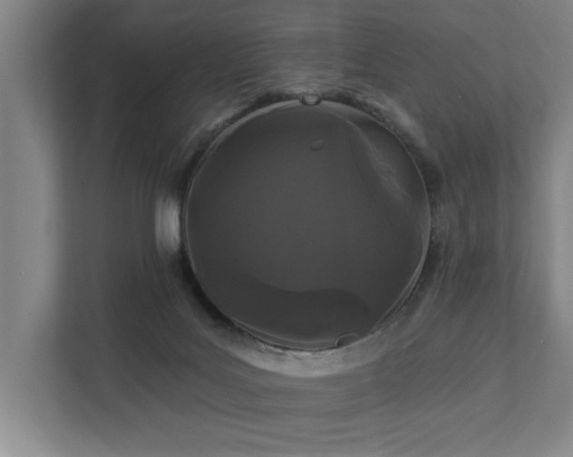 X0000111420027200907201057