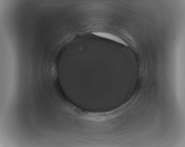 X0000111420029200907201057