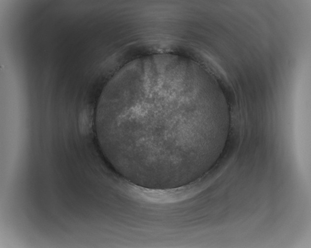 X0000111420030200907201057