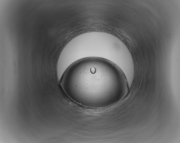 X0000111420033200907201057