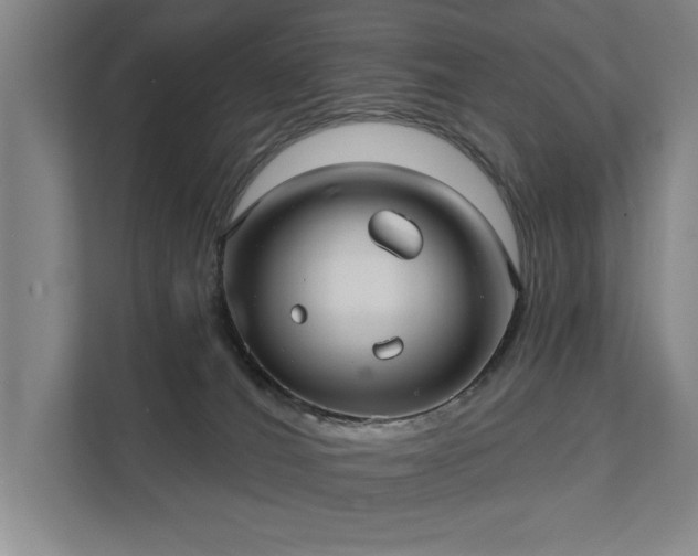 X0000111420036200907201057