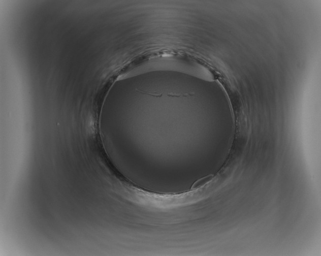 X0000111420039200907201057