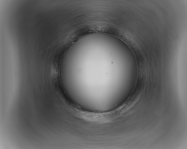 X0000111420040200907201057