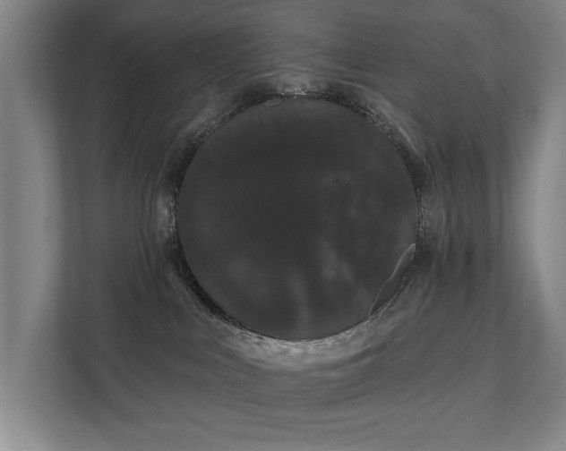 X0000111420043200907201057