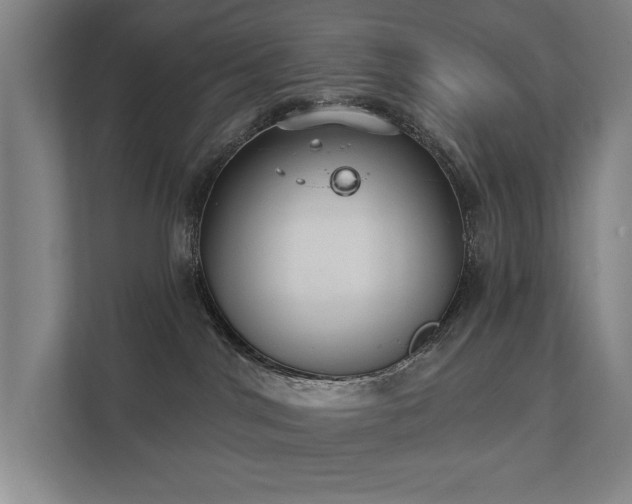 X0000111420044200907201057