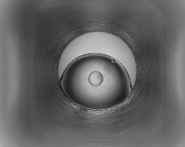 X0000111420045200907201057